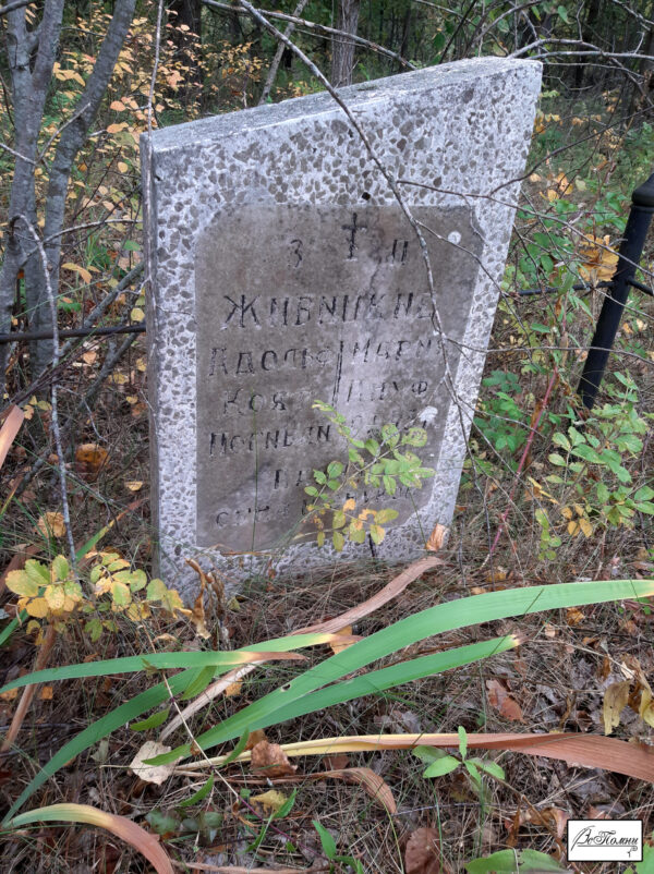 В поисках Живицких