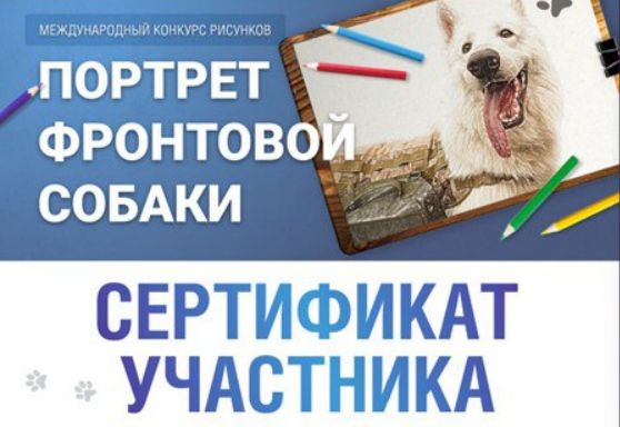 «Портрет фронтовой собаки» — 2023