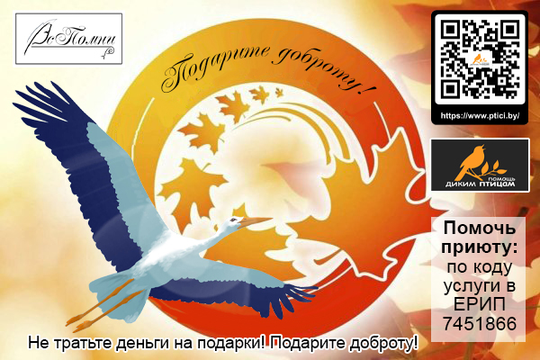 Подарите доброту