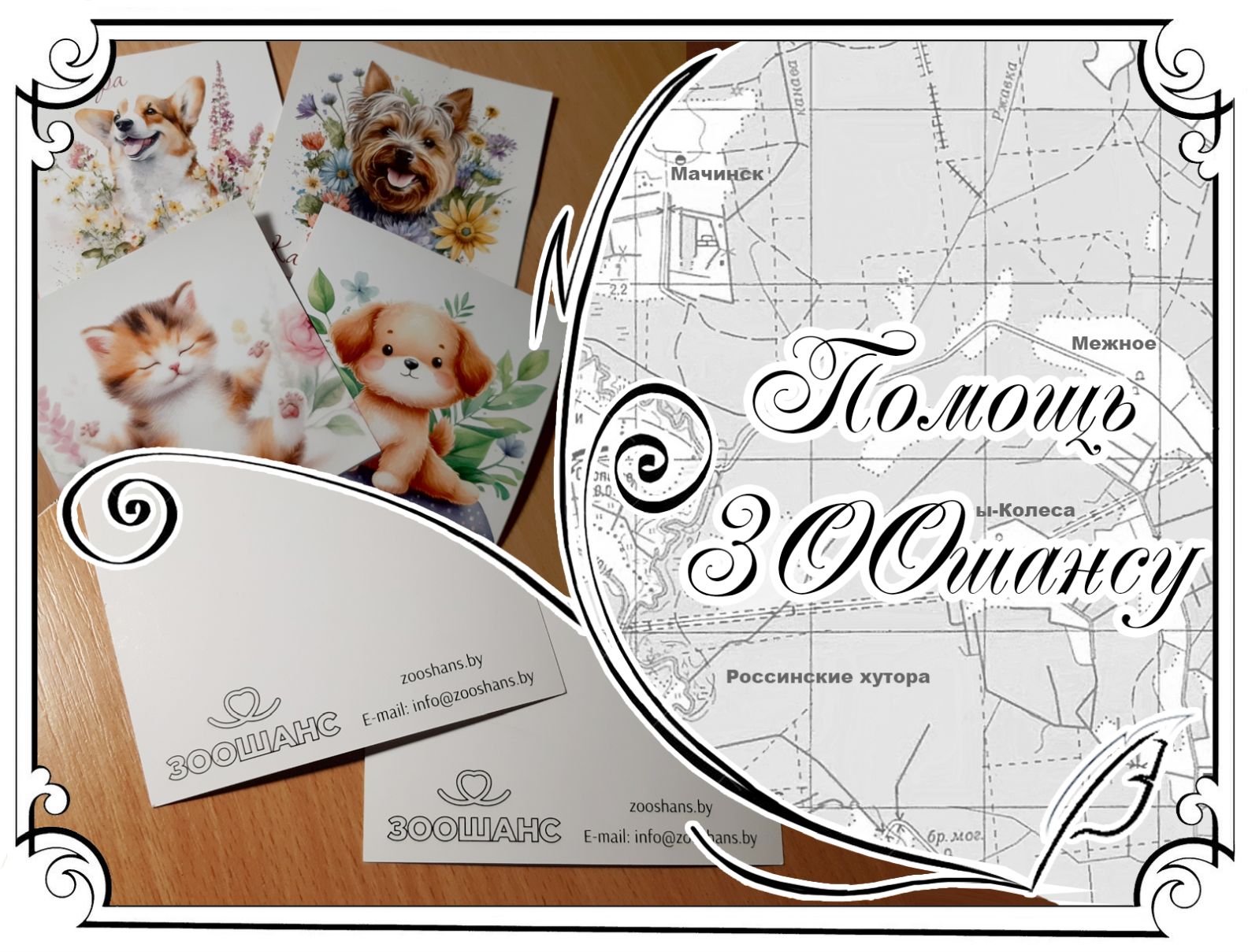 Помощь «ЗООшансу»